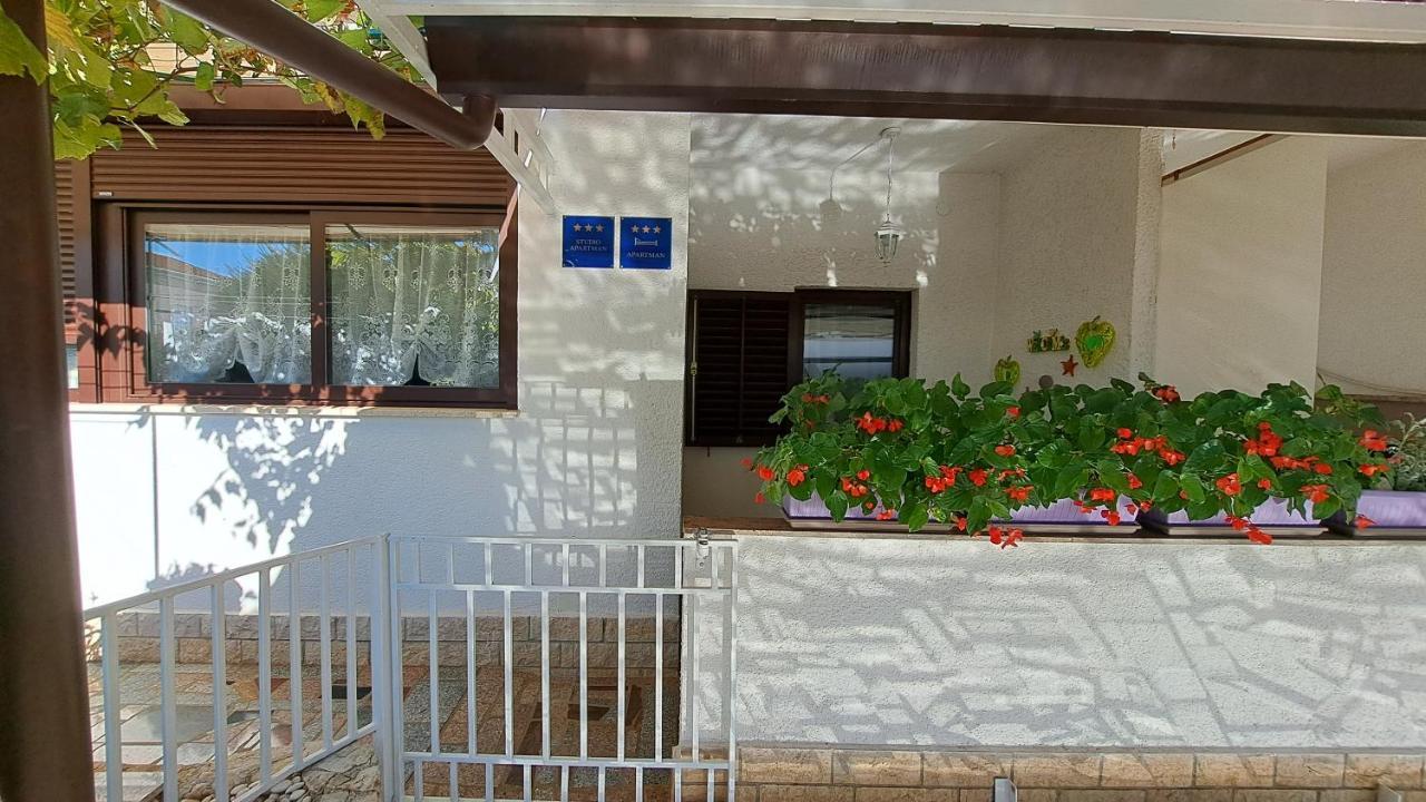 Apartments Anic Novigrad  Exterior photo