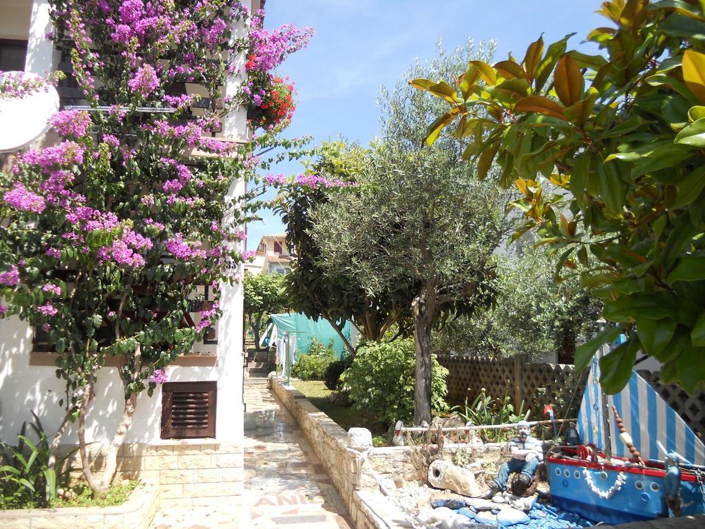 Apartments Anic Novigrad  Exterior photo