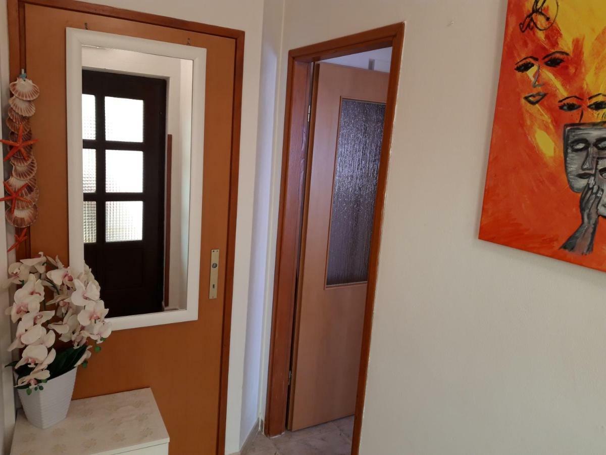 Apartments Anic Novigrad  Exterior photo