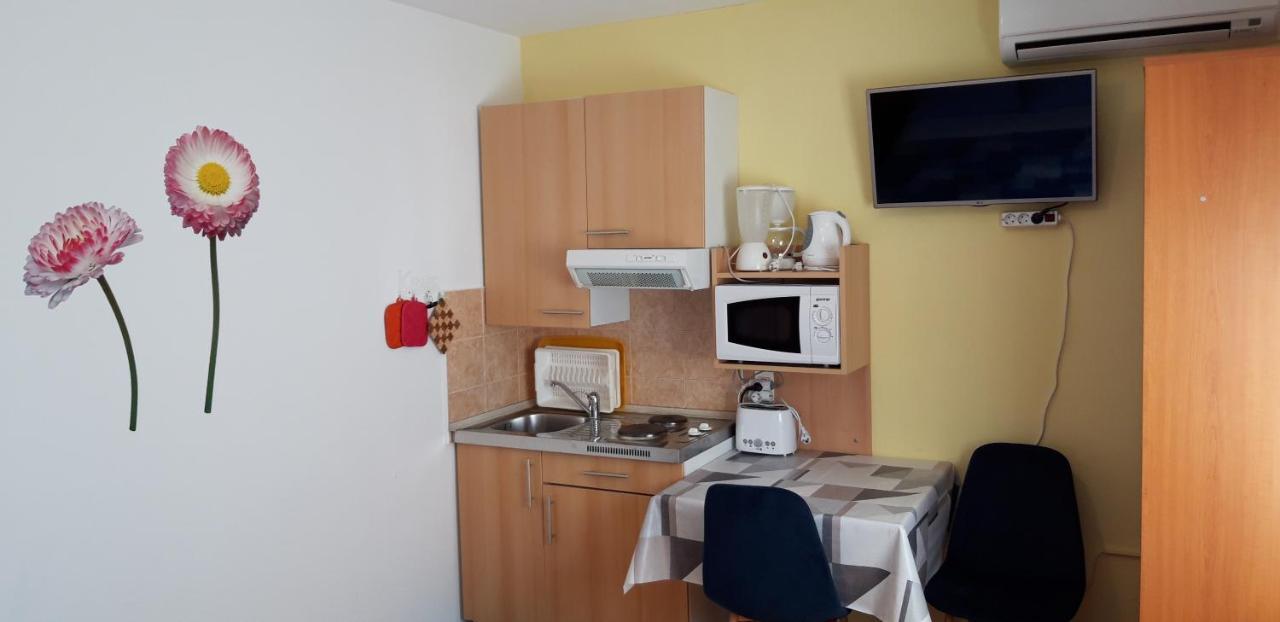 Apartments Anic Novigrad  Exterior photo